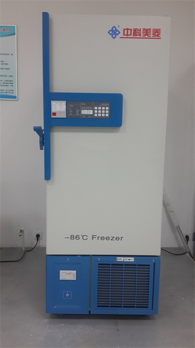 مربع تخزين متجمد درجة حرارة منخفضة