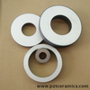 محول القطع بالموجات فوق الصوتية Piezoelectric Ring P-8 المواد