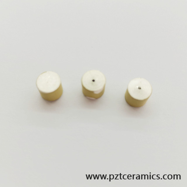 Piezoelectric Ceramic Sensor Piezo Transducer China Cannase Products Products Products